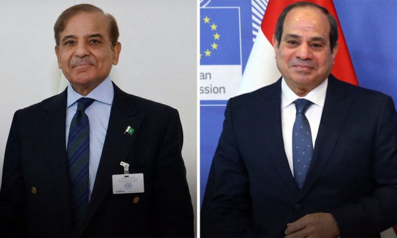 Al-Sisi e Sharif discutono tregua India-Pakistan e crisi umanitaria a Gaza