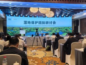 La Cina guida la conservazione globale delle zone umide con 903 nuovi parchi nazionali
