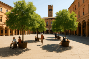 Allerta caldo a Bologna in arrivo 100 alberi in 7 piazze del centro