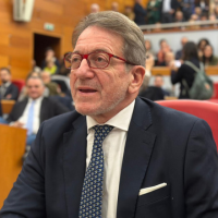 Gian Carlo Muzzarelli (PD)